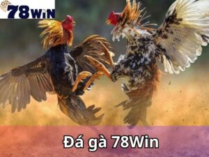 Đá gà 78win